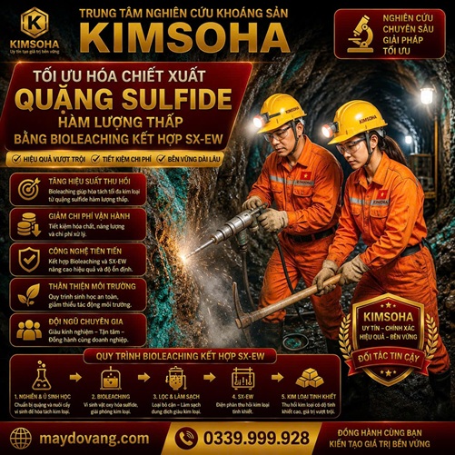 TỐI ƯU HÓA CHIẾT XUẤT QUẶNG SULFIDE HÀM LƯỢNG THẤP BẰNG BIOLEACHING KẾT HỢP SX-EW