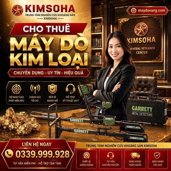 CHO THUÊ MÁY DÒ KIM LOẠI CHUYÊN DỤNG.