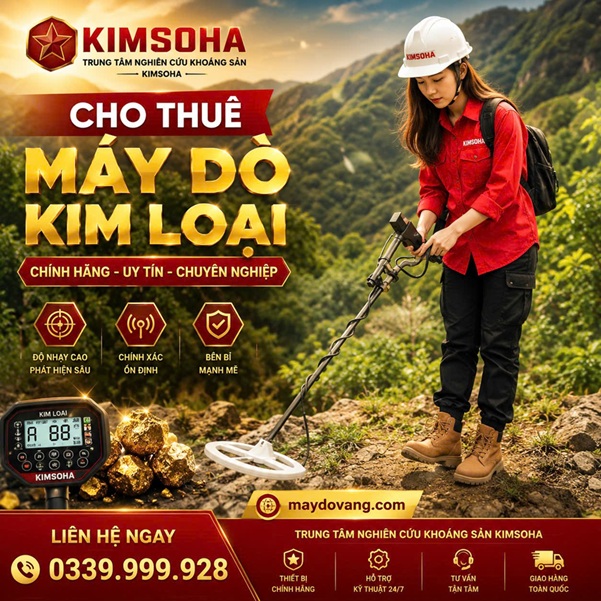 DỊCH VỤ CHO THUÊ MÁY DÒ KIM LOẠI