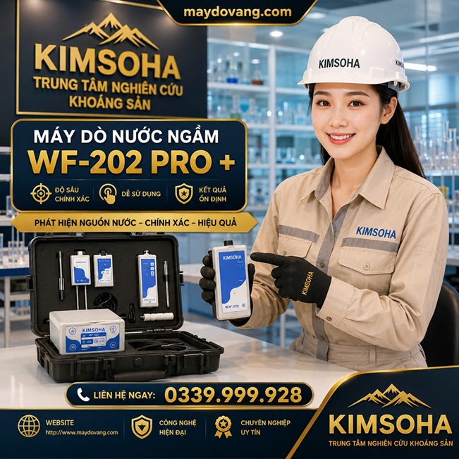 MÁY DÒ NƯỚC NGẦM WF-202 PRO +